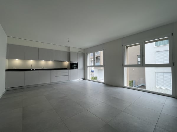 MODERNO ED AMPIO APPARTAMENTO 2.5 CON DUE POSTEGGI INTERNI 4
