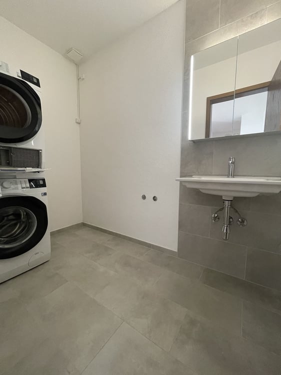 AMPIO APPARTAMENTO 2.5 RIATTATO CON GIARDINO 9
