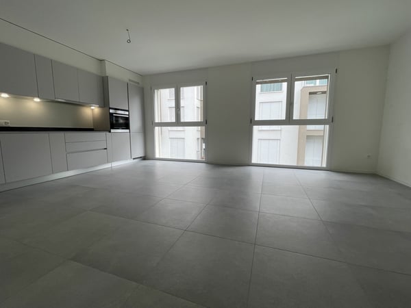 MODERNO ED AMPIO APPARTAMENTO 2.5 CON DUE POSTEGGI INTERNI 5
