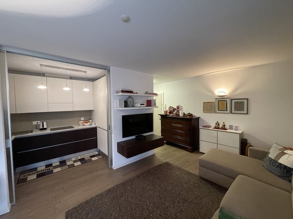 ELEGANTE ED AMPIO APPARTAMENTO 2.5 CON GRANDE POSTEGGIO 4