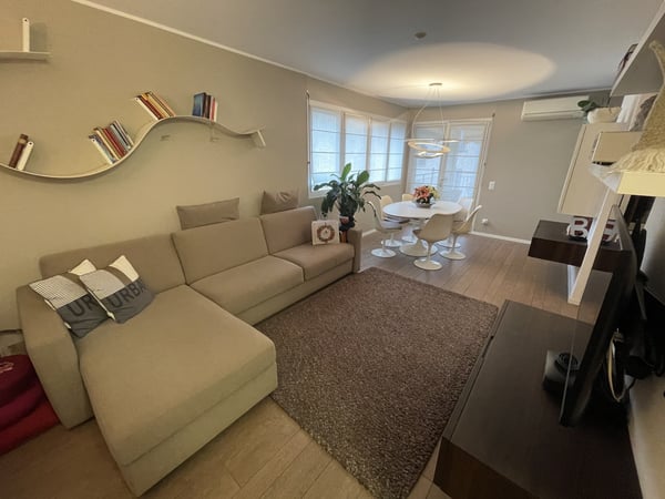 ELEGANTE ED AMPIO APPARTAMENTO 2.5 CON GRANDE POSTEGGIO 3