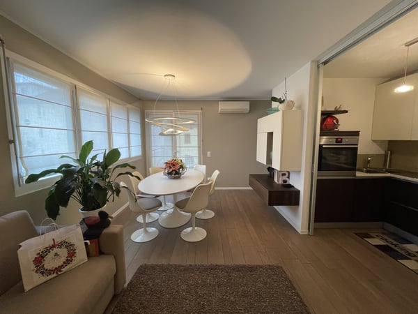 ELEGANTE ED AMPIO APPARTAMENTO 2.5 CON GRANDE POSTEGGIO 1