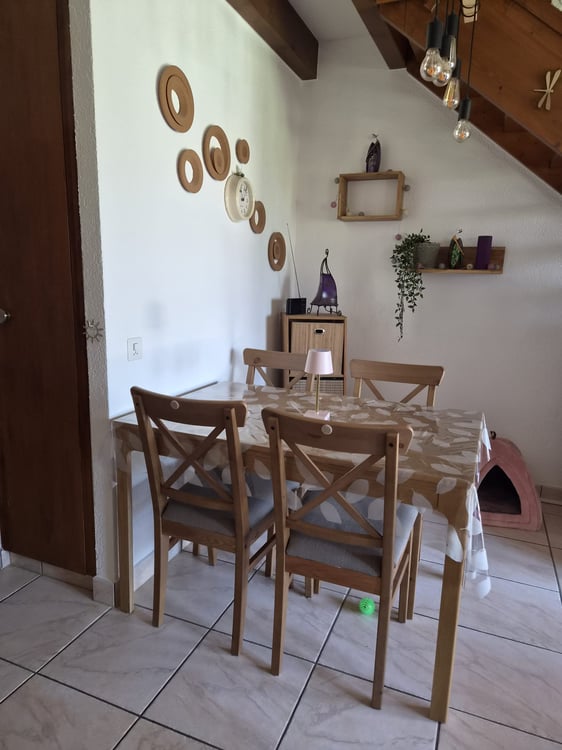 Charmant duplex de 2 pièces avec balcon à Saillon 6