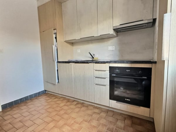 1½ pièces avec place de parc 3