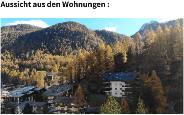 Erstklassiges Neubauprojekt in Zermatt Hotel oder 4 Duplexwohnungen - Erstwohnsitz - Résidence principale 19
