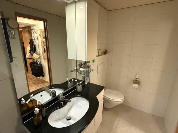 Charmante Wohnung mit schönen Matterhornblick - primary residence 7