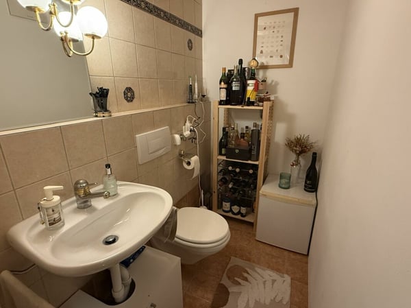 Charmante Wohnung mit schönen Matterhornblick - primary residence 13