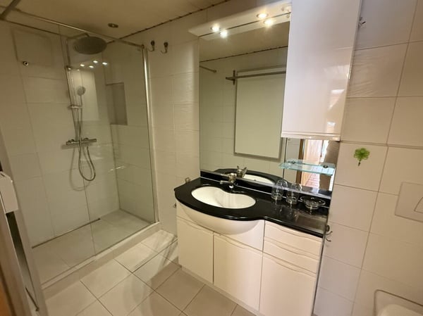 Charmante Wohnung mit schönen Matterhornblick - primary residence 3