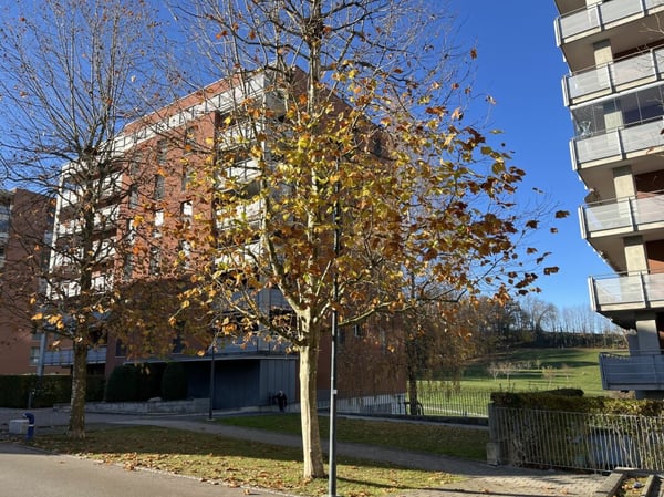 AVEC UNE MAGNIFIQUE LOGGIA ET UNE GRANDE TERRASSE 23