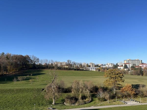 AVEC UNE MAGNIFIQUE LOGGIA ET UNE GRANDE TERRASSE 1