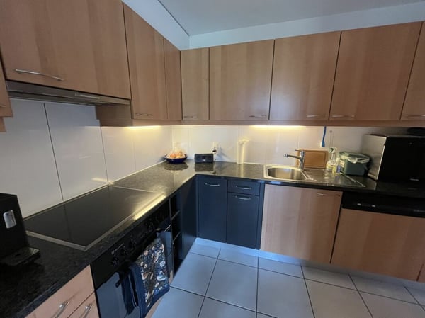 AVEC UNE MAGNIFIQUE LOGGIA ET UNE GRANDE TERRASSE 17