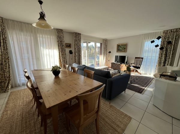 AVEC UNE MAGNIFIQUE LOGGIA ET UNE GRANDE TERRASSE 11