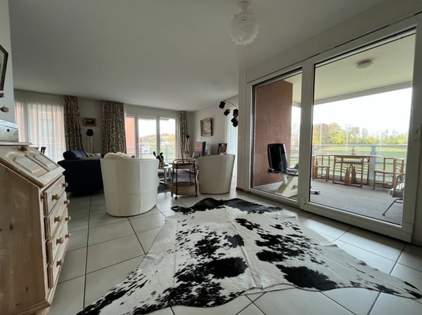 AVEC UNE MAGNIFIQUE LOGGIA ET UNE GRANDE TERRASSE 9