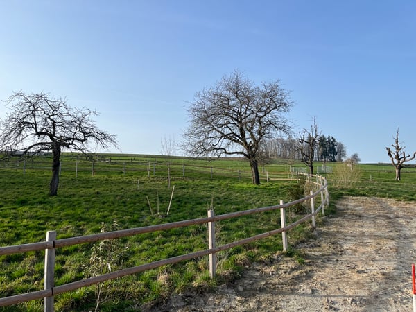 A PARTIR DE CHF 895'000.- 11