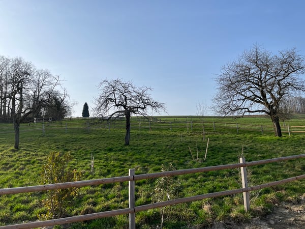A PARTIR DE CHF 895'000.- 1