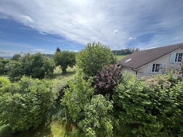 MAGNIFIQUE ATTIQUE, TRES SPACIEUX ET MODERNE 3