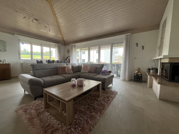 MAGNIFIQUE ATTIQUE, TRES SPACIEUX ET MODERNE 7