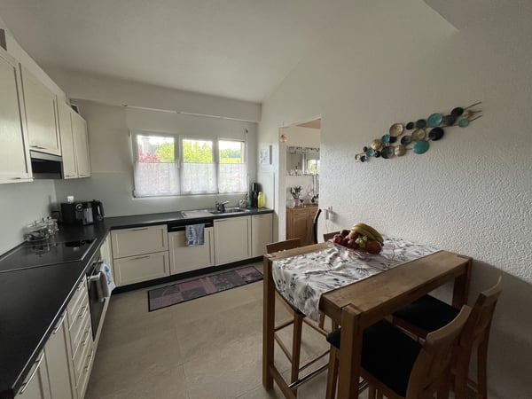 MAGNIFIQUE ATTIQUE, TRES SPACIEUX ET MODERNE 12