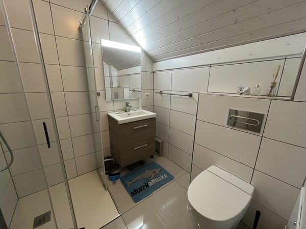 MAGNIFIQUE DUPLEX EN ATTIQUE 12