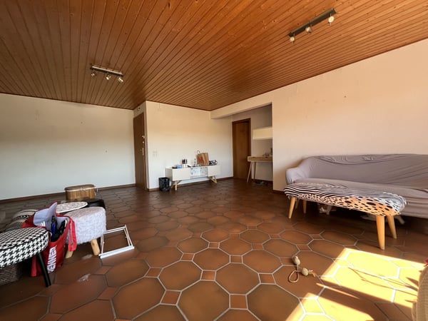 ATTIQUE, AVEC UNE GRANDE TERRASSE COUVERTE 5