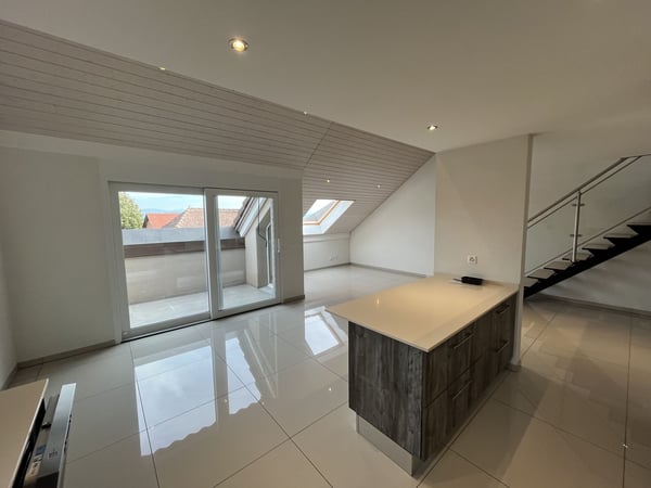 MAGNIFIQUE DUPLEX EN ATTIQUE 8