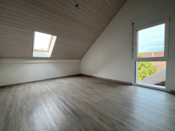 MAGNIFIQUE DUPLEX EN ATTIQUE 12