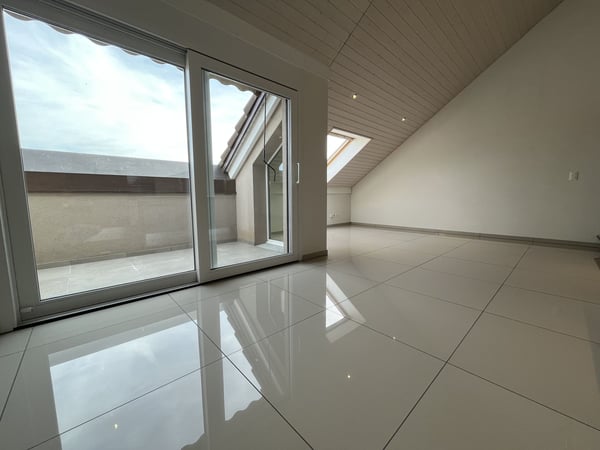 MAGNIFIQUE DUPLEX EN ATTIQUE 9