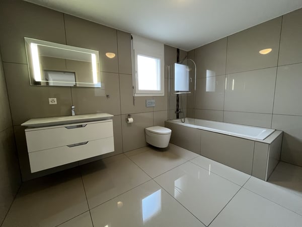 MAGNIFIQUE DUPLEX EN ATTIQUE 11