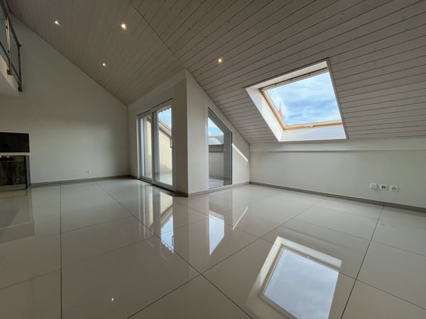 MAGNIFIQUE DUPLEX EN ATTIQUE 2