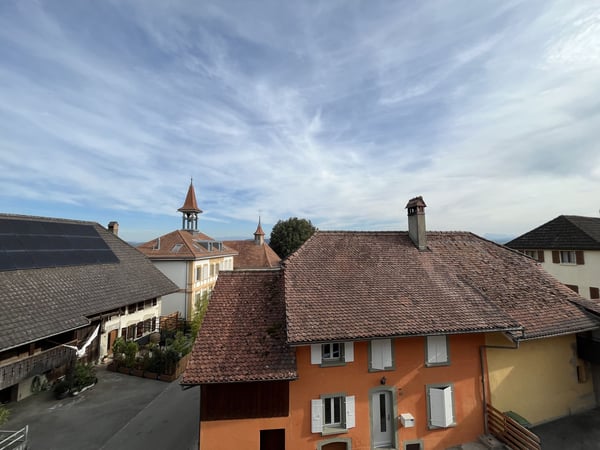 MAGNIFIQUE DUPLEX EN ATTIQUE 1