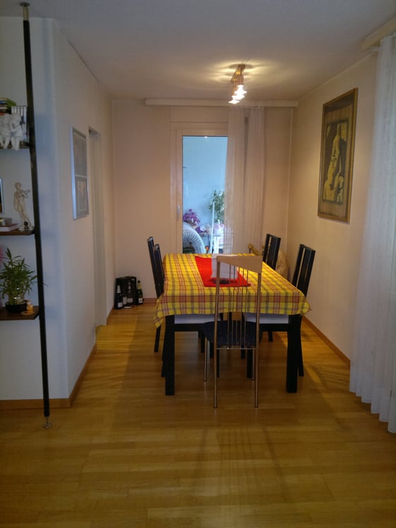 gemütliche 2.5-Zimmer-Wohnung 3
