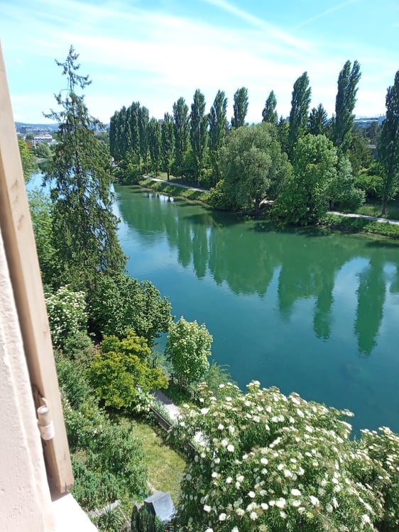 Zentral gelegene Wohnung mit top Aussicht - direkt an der Limmat 1