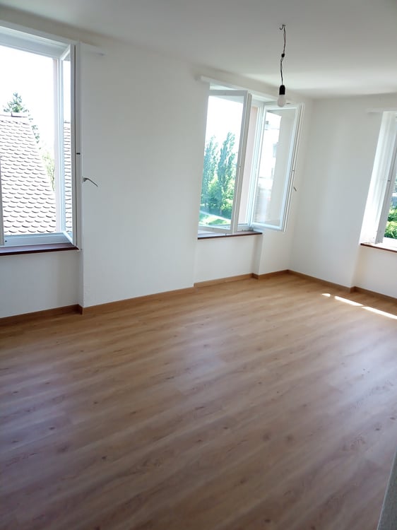 Zentral gelegene Wohnung mit top Aussicht - direkt an der Limmat 4