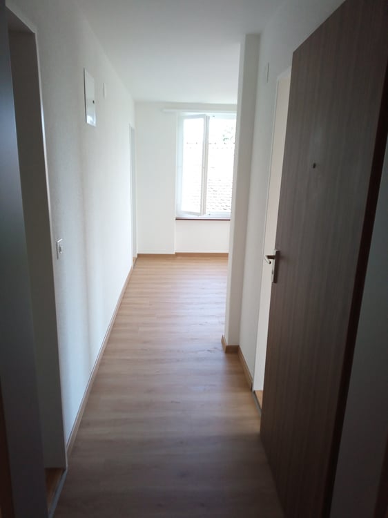 Zentral gelegene Wohnung mit top Aussicht - direkt an der Limmat 3
