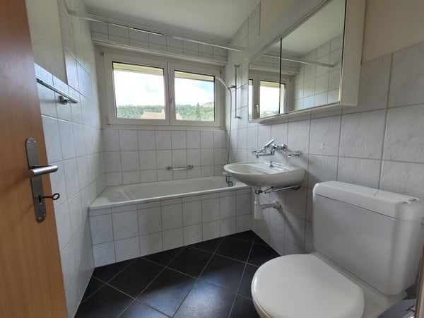 Suchen Sie eine Übergangslösung? Bis im Frühling 2027 befristet wohnen. 3