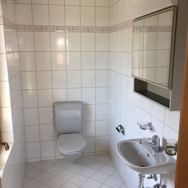 1.5-ZWG / Suchen Sie eine Übergangslösung? Bis im Frühling 2027 befristet wohnen. 8