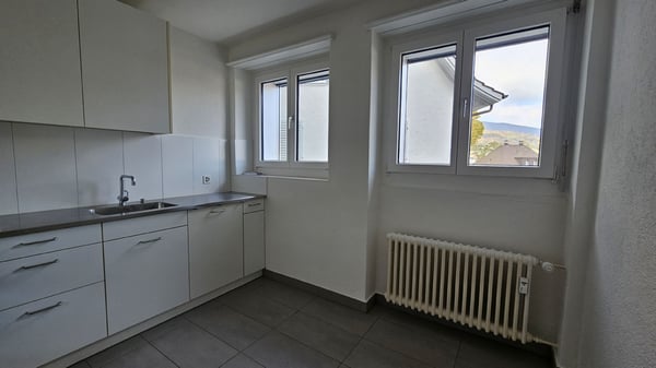 Zentrale Wohnung in Olten 3