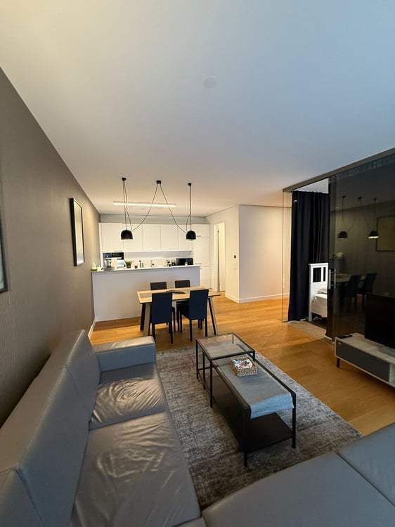 Exklusive möblierte 1 Schlafzimmer Stadtwohnung nahe Bahnhof Zug 11