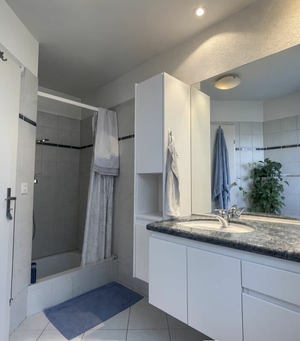 2.5-Zimmer Reiheneinfamilienhaus 4