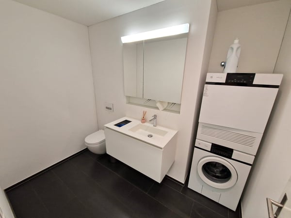 Attraktive EG-Gewerbe-/Praxisfläche an Top-Lage in Zug 5