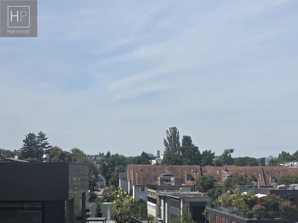 4.5 Zimmer Attika-Eigentumswohnung mit Hobbyraum und 2 Autoeinstellhallenplätze 8