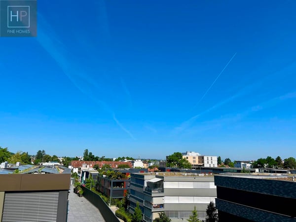 4.5 Zimmer Attika-Eigentumswohnung mit Hobbyraum und 2 Autoeinstellhallenplätze 6