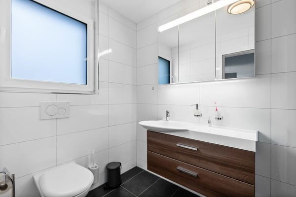 Einfamilienhaus in Reinach 6