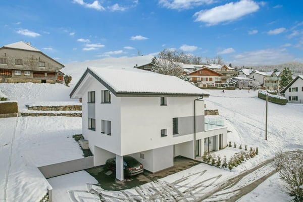 Neubau-Familiennest mit Einliegerwohnung 1