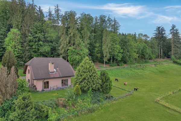 Wo Ruhe auf Weitblick trifft - ein Zuhause zum Wohlfühlen 1