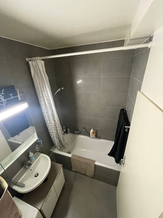 Appartement 2 pièces en étage élevé avec balcon à Meyrin 4