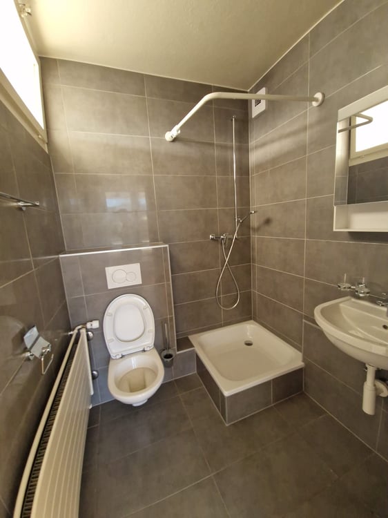 Superbe duplex de 6 Pièces au dernier étage dans le quartier de Plainpalais 15