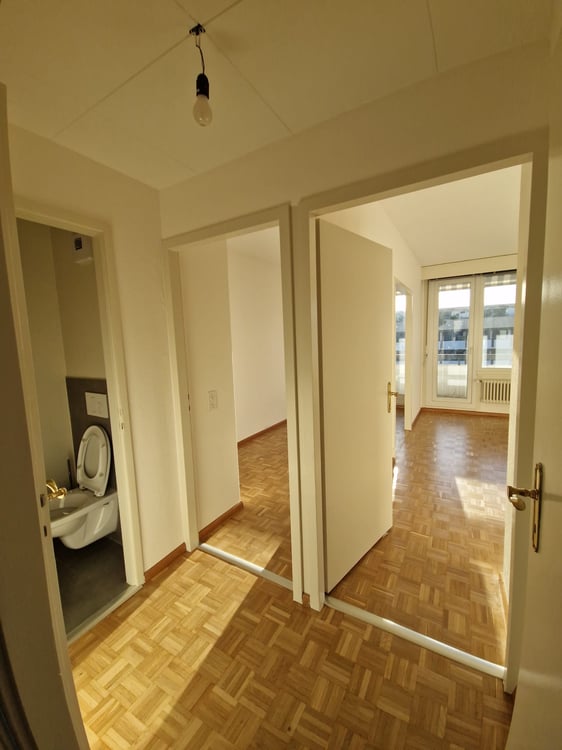 Superbe duplex de 6 Pièces au dernier étage dans le quartier de Plainpalais 6