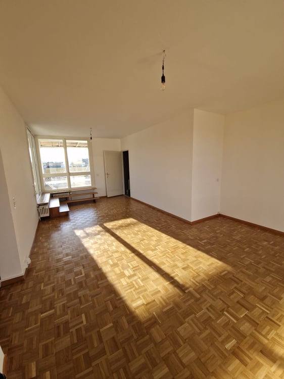 Superbe duplex de 6 Pièces au dernier étage dans le quartier de Plainpalais 14