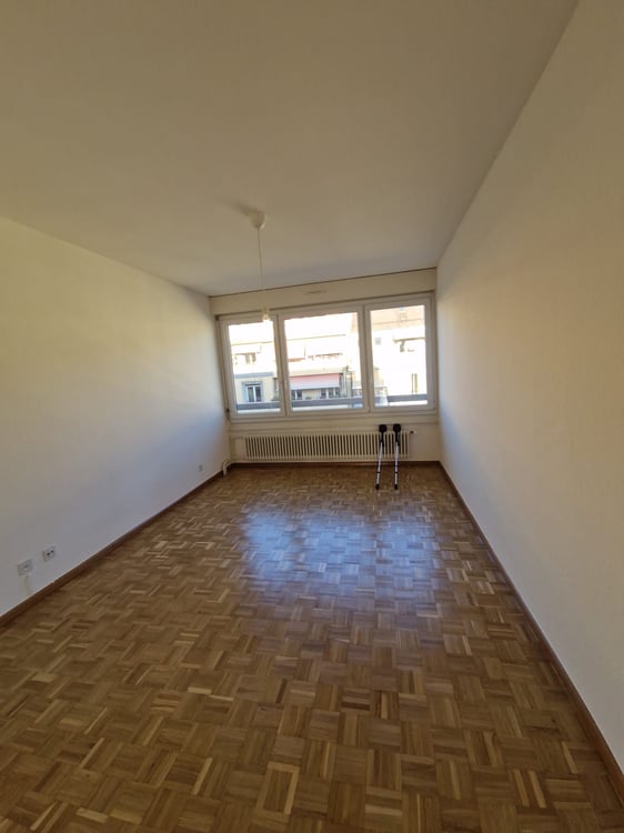 Superbe duplex de 6 Pièces au dernier étage dans le quartier de Plainpalais 5